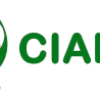 CialisUAE