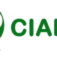 CialisUAE